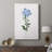 Cape Leadwort -Gallery Wrapped Cavas