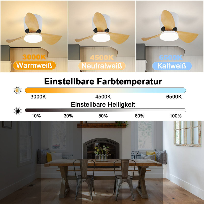 Ceiling Fan with LED Lights