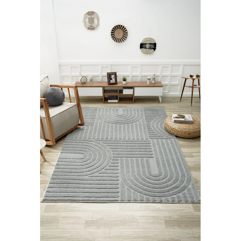Premium Grey Area Rug, 31.5 x 59.1 Inches | 100% Polypropylene, 1.7 lbs/sq ft Pile Height 0.7 Inches | Machine Woven, Non-Slip Dot Underside, Antibacterial | Perfect for Living Room, Bedroom & Office Decor