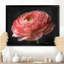 Décoration murale monochrome Ranunculus Frozen Beauty II - Renoncule-290247907-290247930