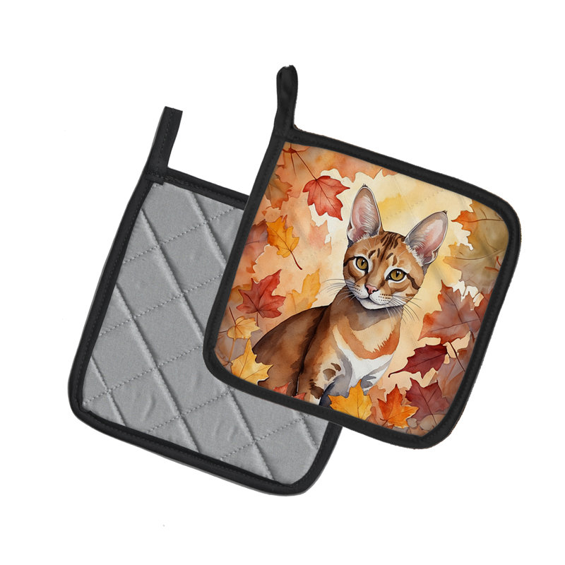 Paire de poignées Chausie