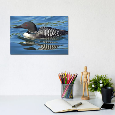 Loon Reflections by Brian Wolf - Wrapped Canvas Print