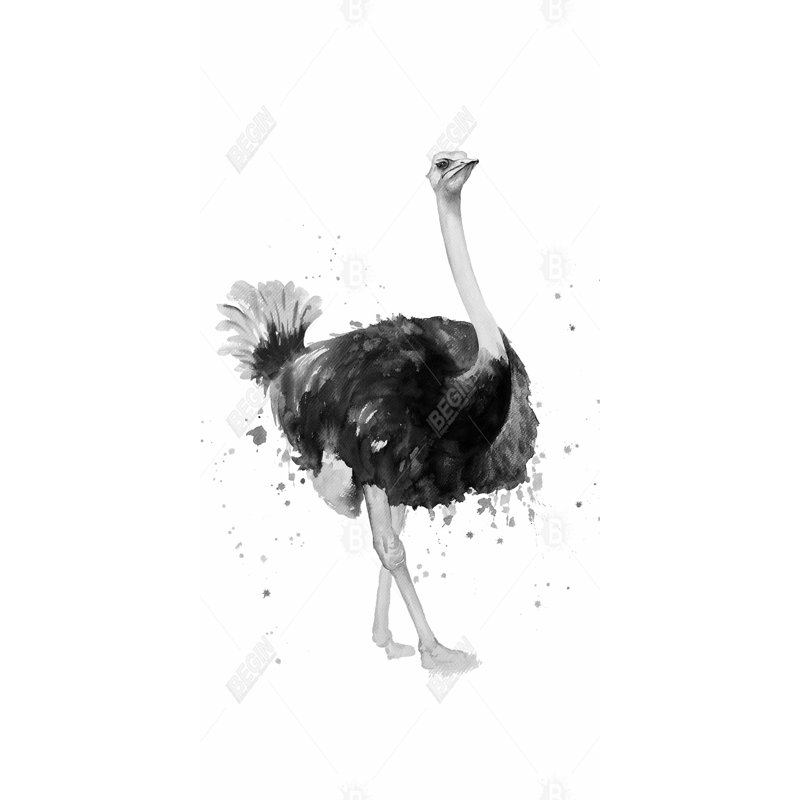Proud ostrich - 15.75"x31.50" Desk mat