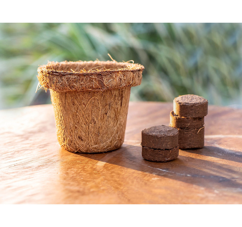 Compact Tan Coco Coir Seed Starter Pellets, 0.8 Inches, 180-Pack