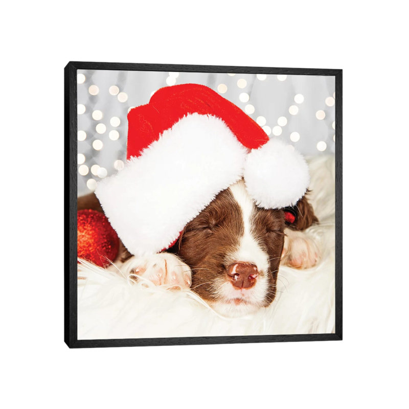 Puppy Wearing Santa Hat While Napping On II by Susan Richey - Gallery-Wrapped Canvas Giclée on Canvas, Black Framed