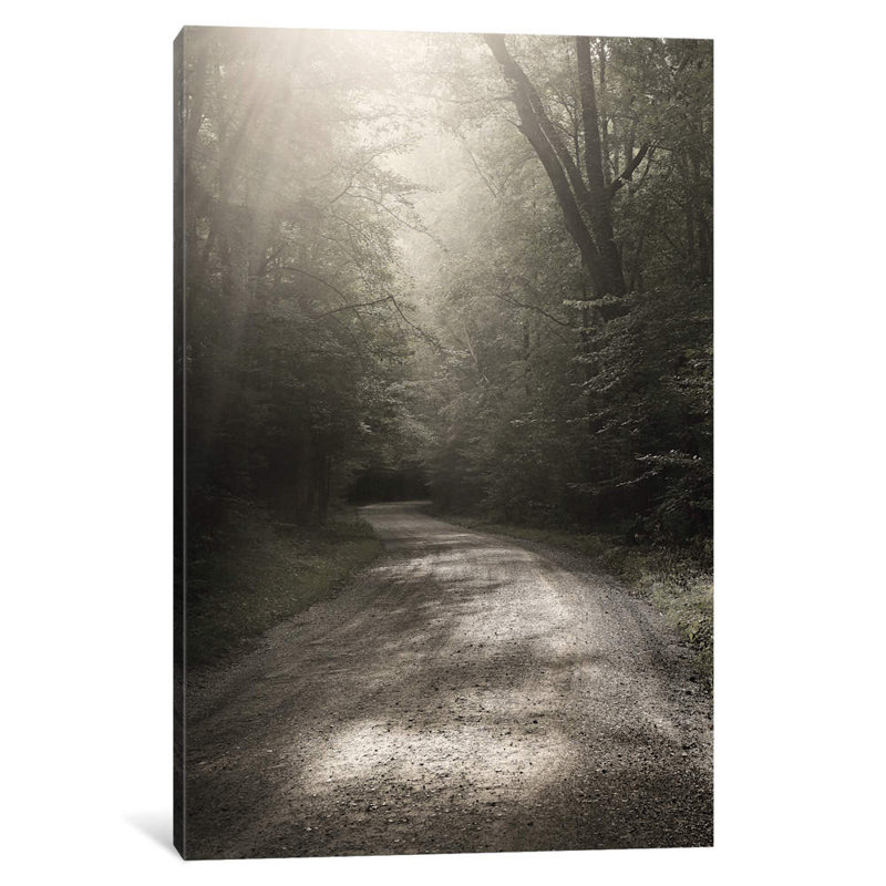 Back Country Road by Nicholas Bell Photography - Wrapped Canvas Print, 66.04 cm H x 45.72 cm W x 1.91 cm D