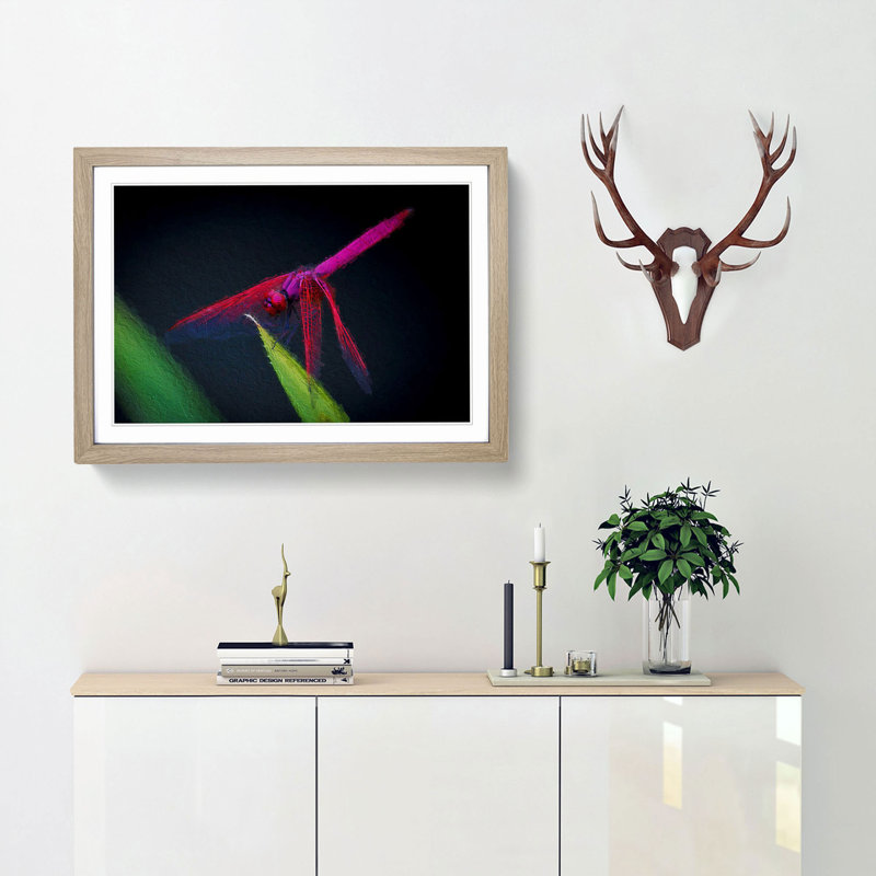 Dragonfly - Picture Frame Painting Print, 27cm H x 36cm W x 2cm D, Oak Framed