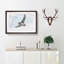 Flying Atlantic Puffin Bird in Abstract - Framed Print-55728096-55728101