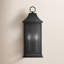 Applique murale d'extérieur noire Elissa Hanover