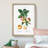 Apple Tree Branch by Pierre-Joseph Redoute - Single Picture Frame Painting-55544722-55544720