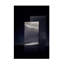 Art sur toile bolologien Burghard-109321217