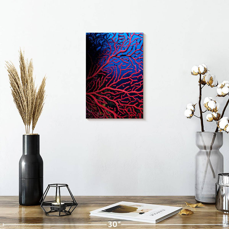 Brampt Violescent Sea Whip, 24" H x 16" W