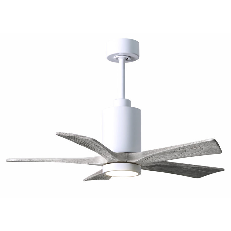 Patricia 42'' Ceiling Fan with LED Lights