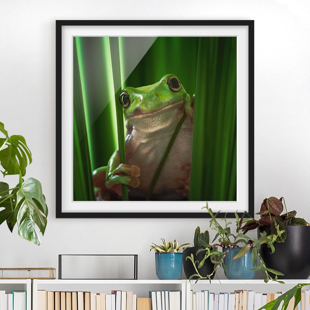 Gerahmtes Papierbild Fröhlicher Frosch