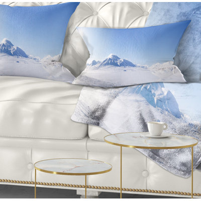 Coussin Schafer