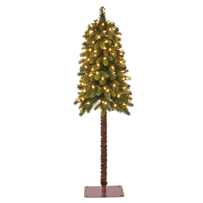 48' Lighted Spruce Christmas Tree