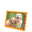 Cadre orange festonné-1558225584-1578216753