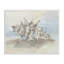 «Soft Soft Blend Spiky Seashell», conception de giclée encadrée par Jetty Home, LLC-438469998-438469996