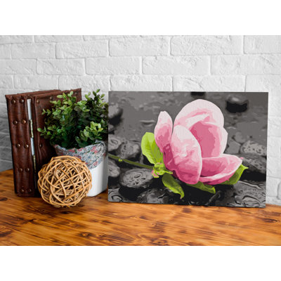 Paint By Numbers Kit - Pink Flower And Stones