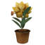 Fleur en pot, jonquille, aluminium