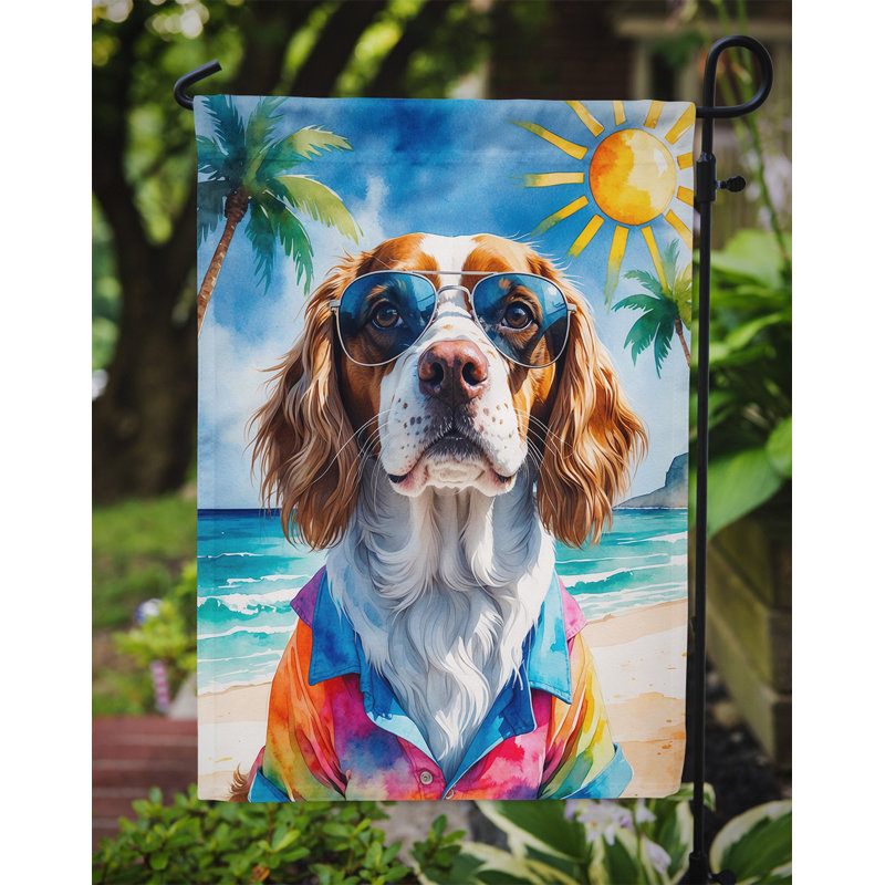 Bouvier bernois avec drapeau de jardin, Bretagne
