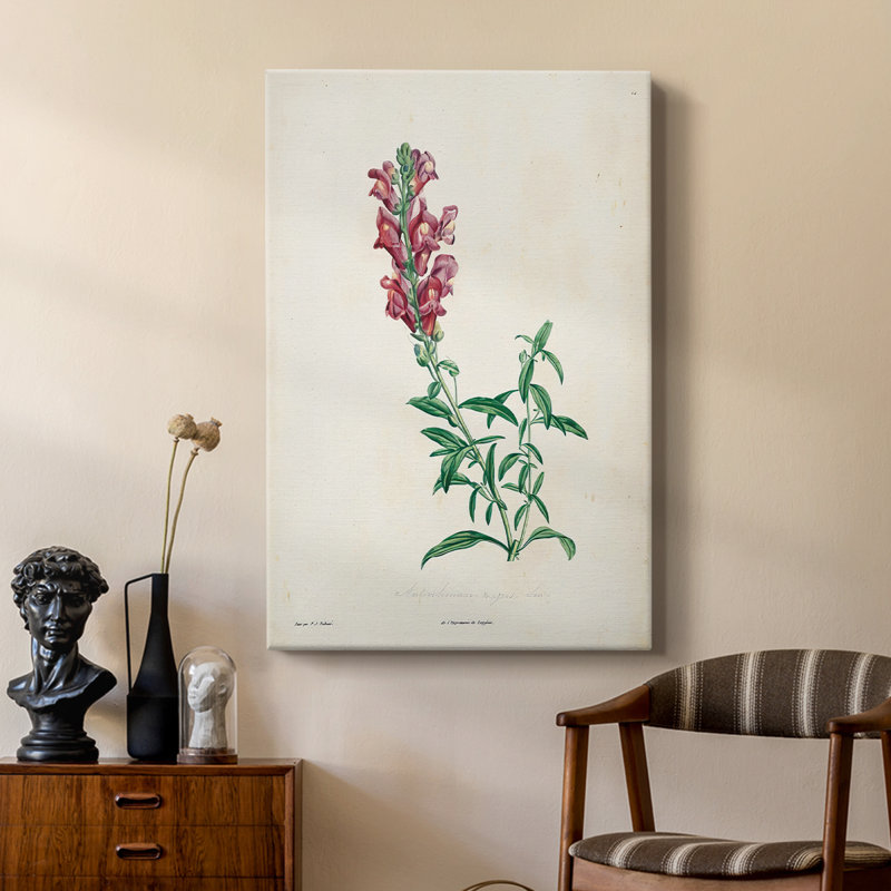 Traditional Botanical I - galerie sur mesure, H 18 po x l 12 po