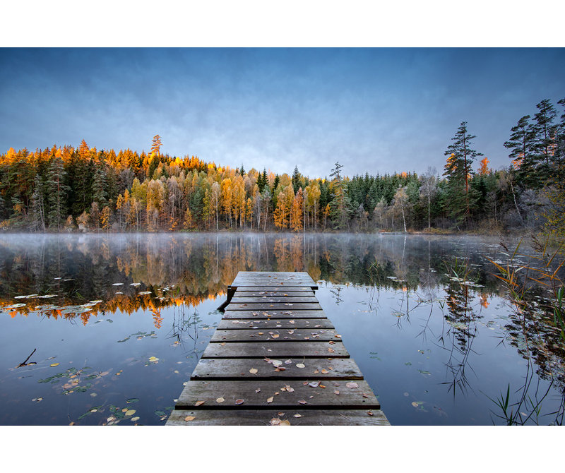 1 Piece Wrapped Canvas Wall Art, 50.8 cm H x 76.2 cm W