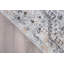 Tapis oriental gris / beige / bleu Dimitri-196036099