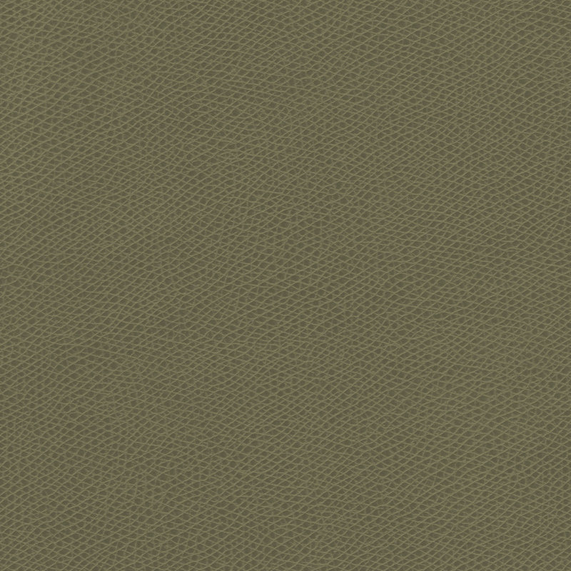 Ophidian Fabric, Sage