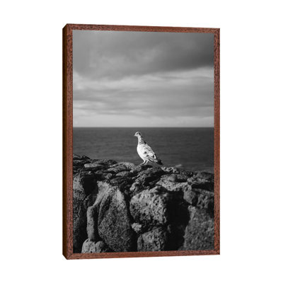 Hawaiian Bird by Bethany Young - Print on Canvas