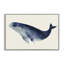 Baleine géante encadrée, giclée par Lily K.-82749538-82749537