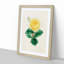 Illustration of a Yellow Rose - Picture Frame Painting Print-55579654-55579653