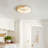 LED Light Low Profile Ceiling Fan with Light