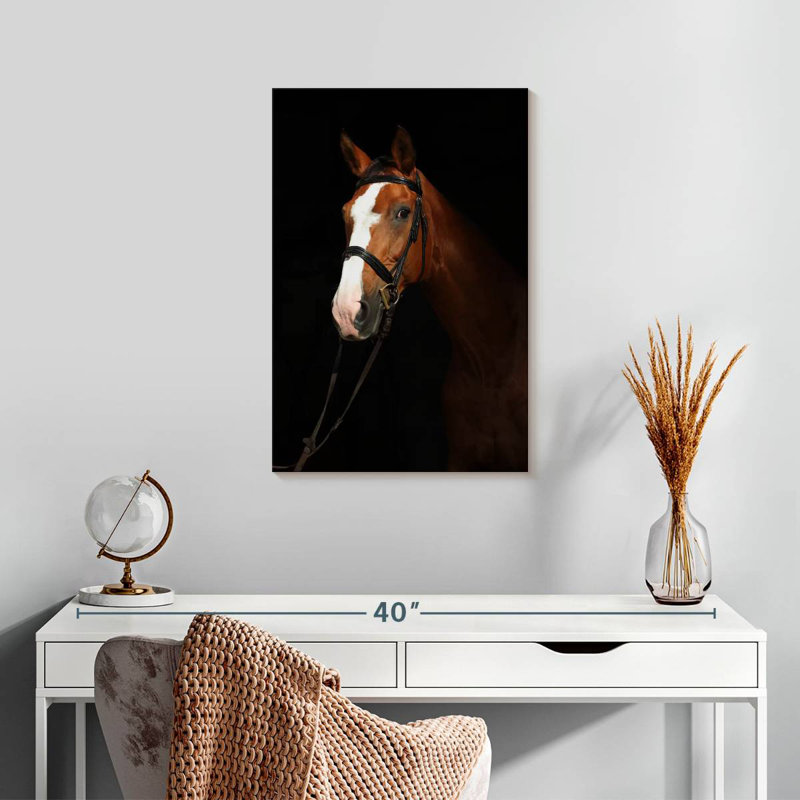Brampt Thoroughbred Horse In The Dark, 24" H x 16" W