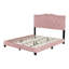 Tête de lit en rose avec plateforme tapissier en velours moderne avec cadre de rivet et rivets décoratifs