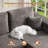 106" Modular L-shaped Sectional Sofa With Ottoman, No-assembly Cloud Couch, Boneless Design For Modern Living-116240542-116240537