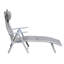 Lily Pond Sun Lounger Steel Frame Outdoor Folding Recliner-29512309