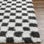 Theia Oriental Area Rug-578209673