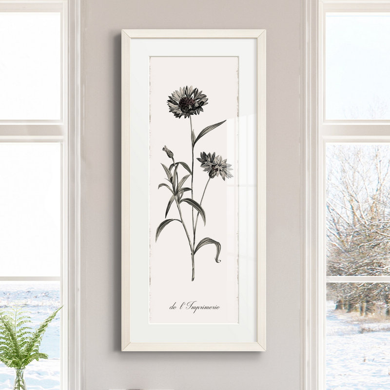 " Slender Imperial ", White