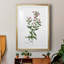 «Rose Botanical III», reproduction encadrée de qualité supérieure - prête à être accrochée-40744600-40744583