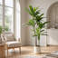 Lifelike Faux Dracaena Plant, Bendable Stems Artificial Green Tree for Living Space Styling