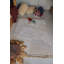 Growing Up On A Farm Hand Tufted Cotton Abstract Area Rug