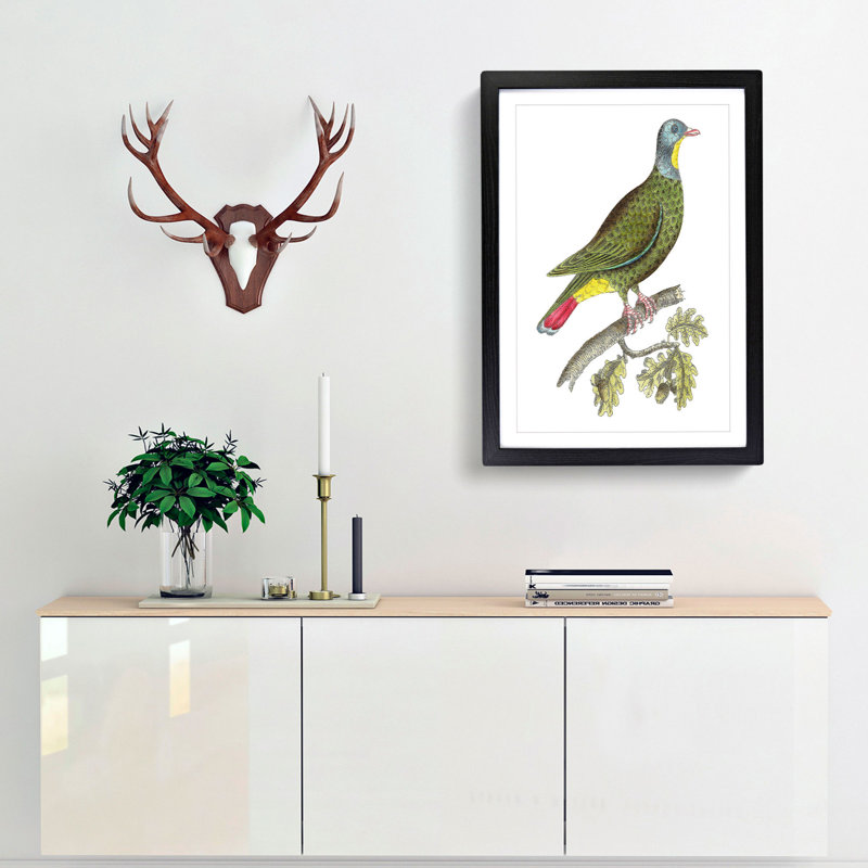Black-Capped Pigeon by George Shaw - Framed Print, Black, 60cm H x 40cm W x 2cm D