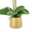 Orchid Arrangement in Fiberstone Vase
