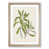 Oak Framed selected