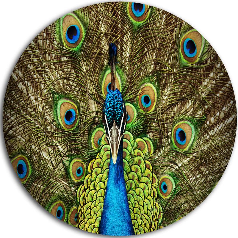 « grand peacock », impression, H 38 po x l 38 po x P 1 po, Métal