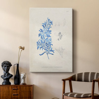 Blue Marine Algae VI - Gallery Cavas