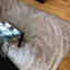 Photos des clients 1 de 2