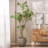 Artificial Pieris Tree-329392502