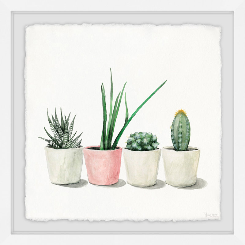 Potted Succulents by Parvez Taj - Single Picture Frame Painting, 81cm H x 81cm W